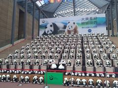 -西安大唐西市博物馆