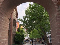 -四川省成都市彭州市白鹿镇