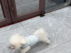 -瑞鹏宠物医院·超声·骨科·奇麟分院(蜀都万达店)