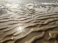 -日照海滨国家森林公园