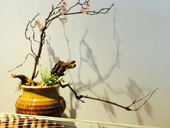 -六艺琴馆钢琴·古筝·古琴·琵琶