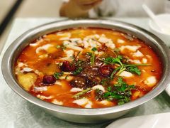 -龙梅肥肠鱼(明瓦廊店)