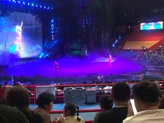 -广州长隆国际大马戏