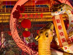 -越秀西湖花市(广州城市广场花卉店)