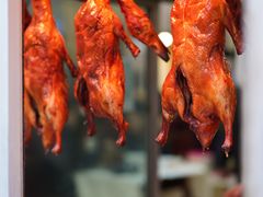 -蒲氏烤鸭(百寿路店)