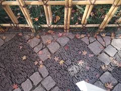 -秋霞圃