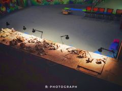 -世界恐龙谷景区