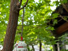 -VOYAGE COFFEE(杨梅竹店)