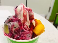 -Salud撒露欧洲冻酸奶(五道口购物中心店)