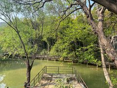 -宝岩生态观光园