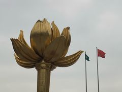 -金莲花广场