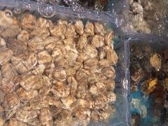 -萧邦音乐会所KTV·蒸汽活海鲜自助(福田店)