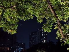 -荔湾湖公园