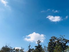 -上方山森林动物世界