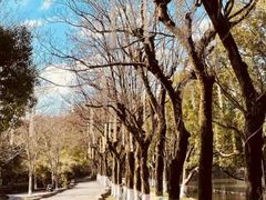 -慈城古县城景区