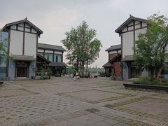 -白鹭湾湿地公园