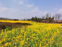 -白鹭湾湿地公园