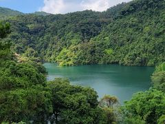 -鼎湖山风景区