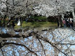 -苏州上方山国家森林公园