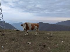 -蔚县茶山村