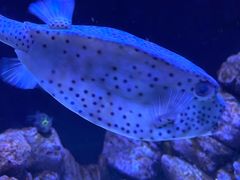 -成都浩海立方海洋公园