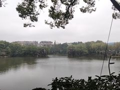 -雨湖公园