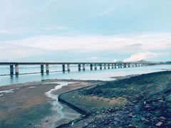 -集美学村