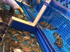 -乔哥铭洋海鲜自助(皇城恒隆广场店)
