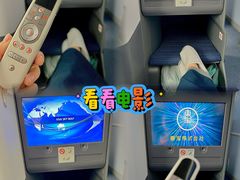 -全日本空输株式会社(上海办事处)