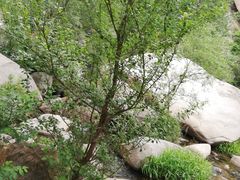 -碓臼峪自然风景区