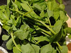 碗豆尖-肖仙仙羊肉汤·创于1996年(三官堂总店)