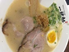 金玉豚骨拉面-一豚轩·烧鸟·豚骨拉面(五四路店)