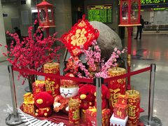 -上海市东方医院(总院)