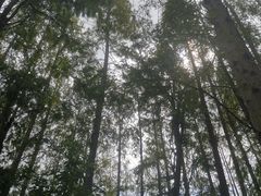 -同里国家湿地公园