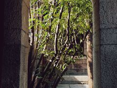 -青岛崂山太清宫