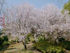 -宝界山林公园