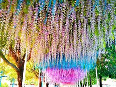 -盈香心动乐园