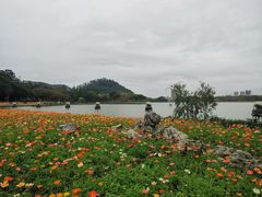 -顺峰山公园