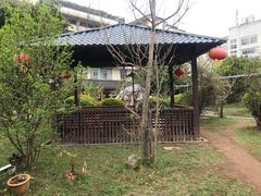 -朝伟清真铜瓢牛肉馆(三十年老·店)
