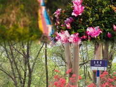 -东莞观音山旅游风景区