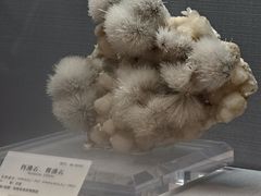 -湖南省地质博物馆