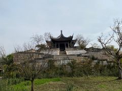 -广富林郊野公园
