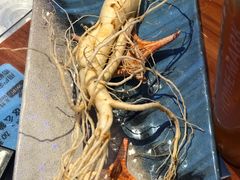 -千岛蚝高压锅生蚝·人参火锅(白云万达店)