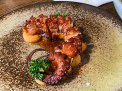 香烤八爪鱼腿-Apollo·西班牙小酒馆(安福路店)