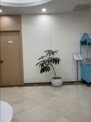 -上海伊莱美医疗美容医院
