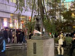-涩谷区