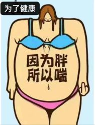 -香薇妮丝·定制减肥·身材管理