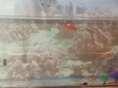 -德全心悦酒店(北京金台路地铁站店)