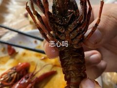 -段氏龙虾(原草高支路店)