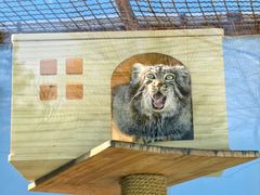 -青藏高原野生动物园